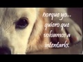 Donde Esta El Amor Pablo Alboran/ Jesse & Joy letra