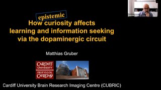 How (Epistemic) Curiosity affects Learning and Information Seeking via the Dopaminergic Circuit