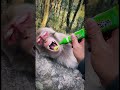 你也要嗎?