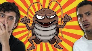 17 Coisas Que Você Precisa Saber Sobre As Baratas