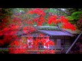 金沢CM 兼六園編