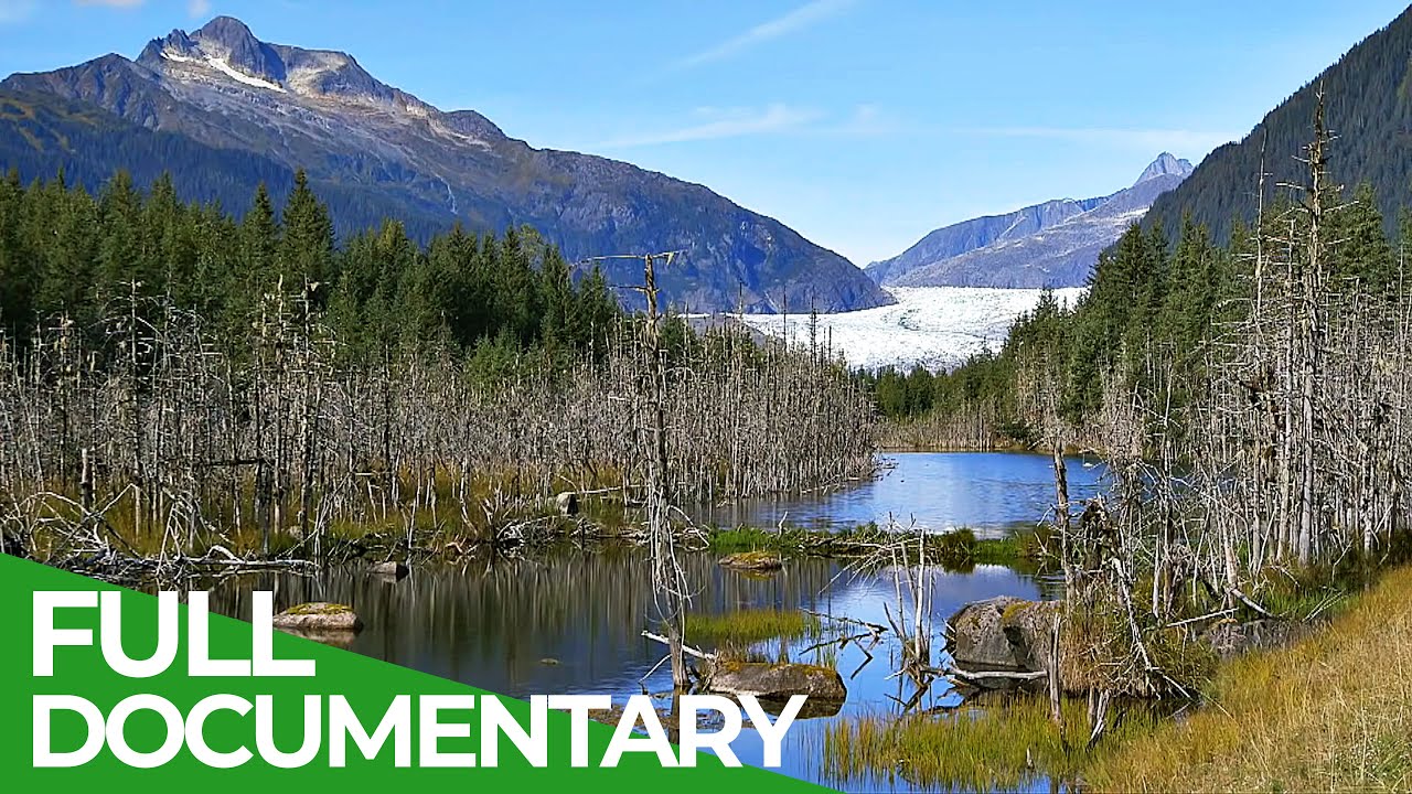 Alaska - The Last Frontier | Free Documentary Nature