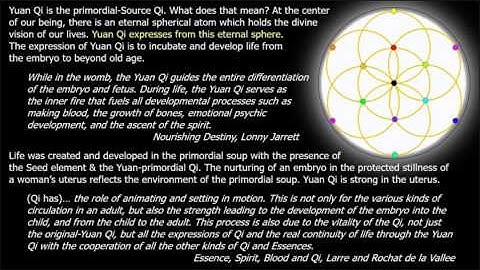 6-element acupuncture: Seed element part 2: Yuan Qi & the Seed Element