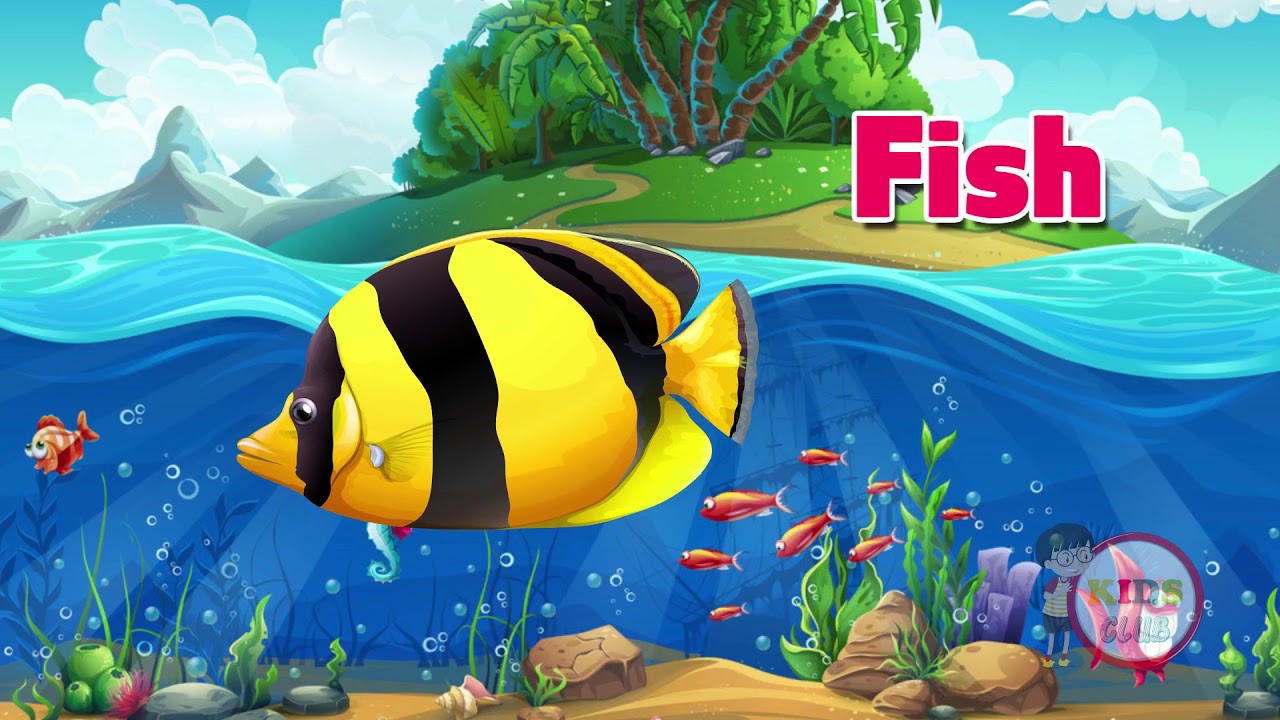 Learn English - YouTube