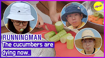 [RUNNINGMAN] The cucumbers are dying now. (ENGSUB)