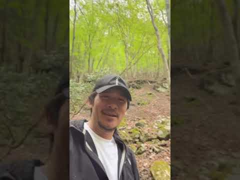 【蛭ヶ岳 登山】いざ出発！ #shorts thumbnail