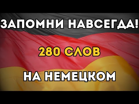 ВЫУЧИ ЛЕГКО 280