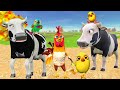 El Pollito pío 3d | El toro se congela jugando en el juegodel Toro y el Tractor 3D