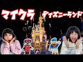 大興奮！まるでディズニーに遊びに来たいみたい！！アトラクションも乗れちゃう！ウォルト・ディズニー・ワールドマジックキングダムのアドベンチャーマップ再現度がすご過ぎる！！himawari-CH