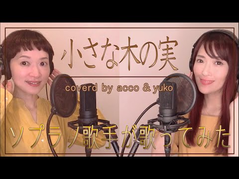 【歌詞付き】小さな木の実 / みんなの歌 coverd by acco & yuko