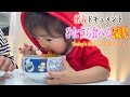 【新企画】ノエルの長男リタくん〜その食欲旺盛な食事風景に完全密着！