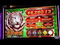 PlayMGM Online Casino Bonus Code - Get $25 FREE - Bonusseeker