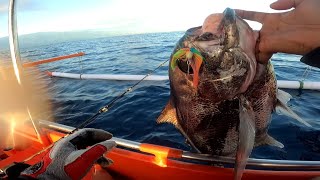 Download Lagu STRIKE MATA BONGSANG, RANGKAIAN SABIKI SAMPAI JEBOL DAN METAL JIG HILANG MP3