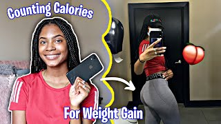 How to Count Calories to Gain Weight | Tips for Gaining Weight & Calculating Calories/Macros