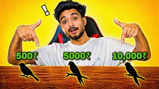 100₹ vs 10,000₹ rupe Pet's! Konsa best hai