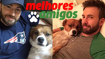 Qual é o nome do cachorro do Chris Evans?