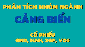 Phân tích nhóm ngành cảng biển - Cơ hội đầu tư cổ phiếu GMD , HAH , SGP , VOS
