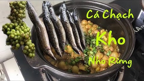 Cá Chạch Kho Trái Nho Rừng Xanh | Ẩm Thực Dân Dã