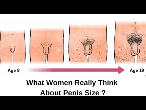 Video: Mannlig Penisstørrelse: Hvor Viktig Er Det For En Kvinne