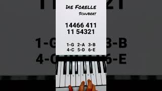Die Forelle - Schubert #shorts #pianoshorts #schubert #forelle