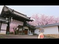 【WEB動画】2018年 春 「穴場」篇 A そうだ 京都、行こう。