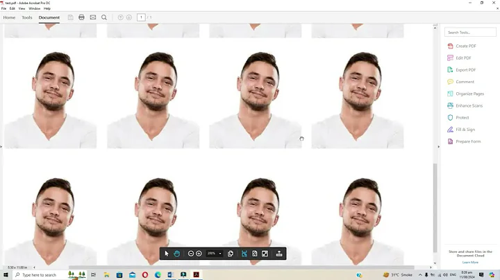 Create Passport Size Photo in MS Word (Easy Step-by-Step Guide)