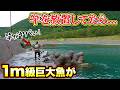 1m級の巨大魚を今年はこの男が釣り上げた！！