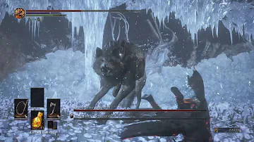 Champion's Gravetender and Gravetender Greatwolf - Dark Souls 3 Boss Showcase