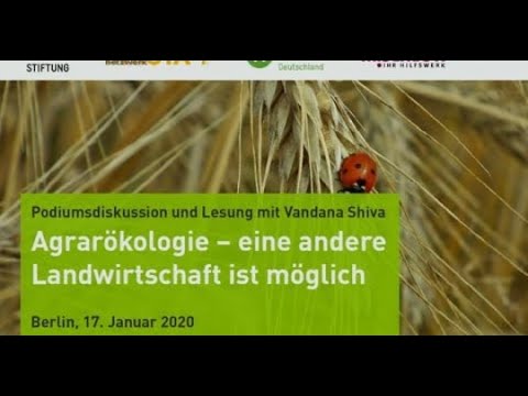 Video: Wissenschaftler Haben Ein 