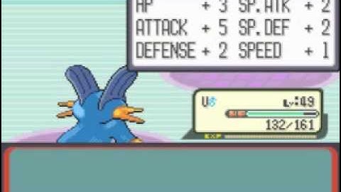 Pokémon Ruby Improved Speed Run Segment 29