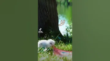حالات واتس اب لا لا لم نخلق عبثا حاشا 