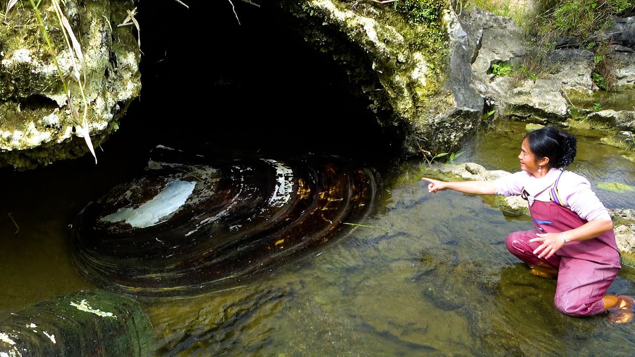 The river clam hidden in the cave is a treasure, I earned it today