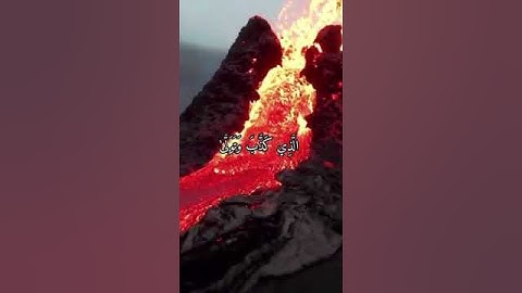 حالات واتس اب دينية القارئ اسلام صبحي (سورة الليل)❤️🌺