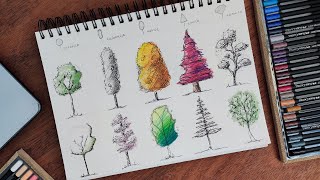 How To Draw Trees For Sketches In 3 Steps Super Easy  Architecture