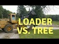 Removing Trees with Front End Loader - Roots and All