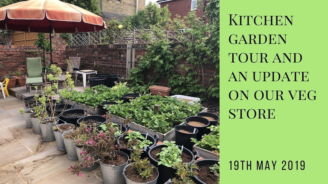 Kitchen garden tour and update on our veg store YouTube