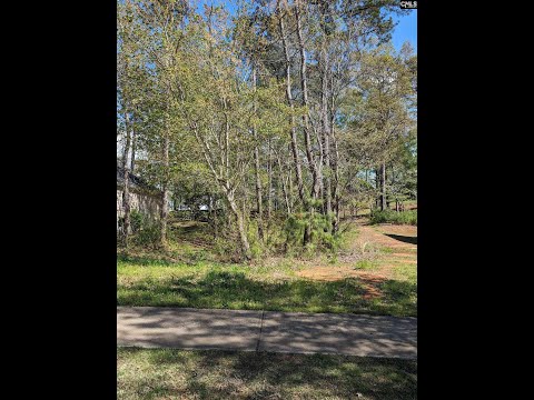 1192 Coogler Crossing Drive, Blythewood, SC home video tour