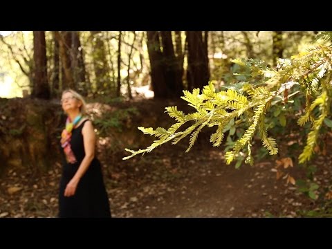 Video: ❶ Harmony With Nature Improves Health