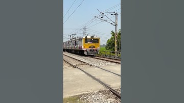 Emu local skip Railgate #shorts