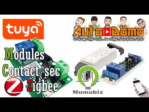 Module contact sec ZIGBEE sous Tuya