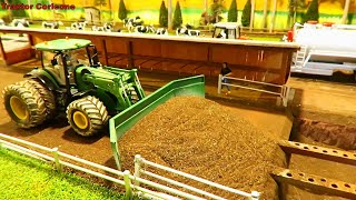 CLEAN FEEDLOT with Tractors and Equipment on the Corleone Farm