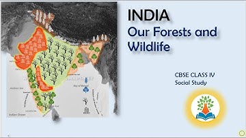 Our Forest and Wild-Life | How are forests important for wildlife ? What do you mean by forest ?