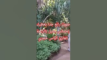 صوت رائع جدا يعطيك إحساس جميل بالراحة القارئ الياس حجري