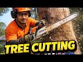 Tree Cutting Job in Australia 🇦🇺 | Hard Work Day