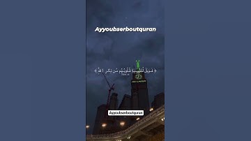 سورة الزمر الآية 22 تلاوة الشيخ معيقلي