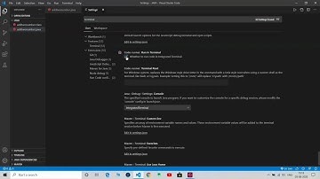 VS code terminal problem fix