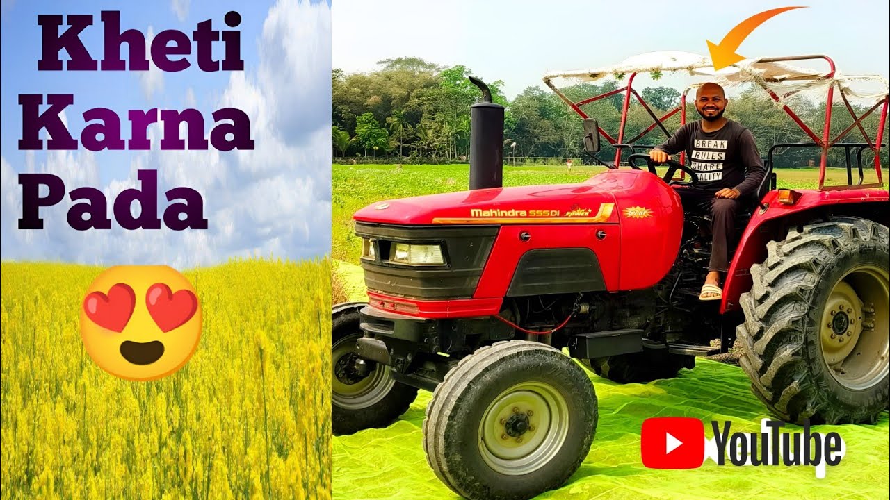 Mustard oil farming in my villageKheti karna padaindian heartbeat🌻