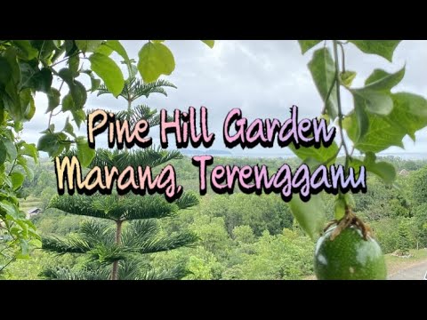 Pine Hill Garden, Marang Terengganu