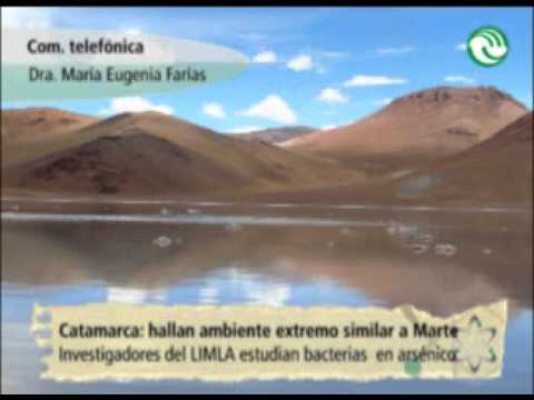 Descubren en Argentina un ambiente extremo semejante al de Marte