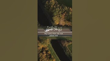 #آيات#quran #صوت_جميل